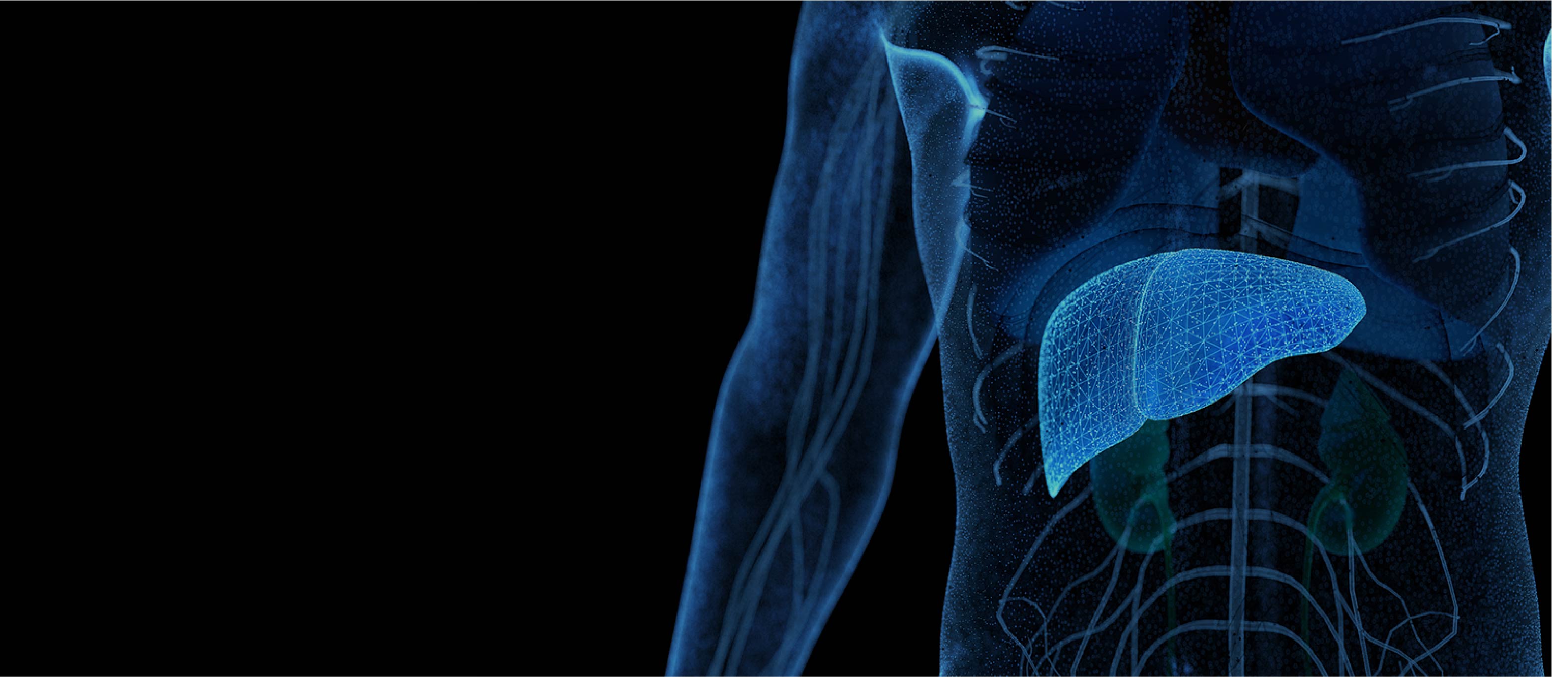 顶级游戏(中国区)官方网站-Officials Website
