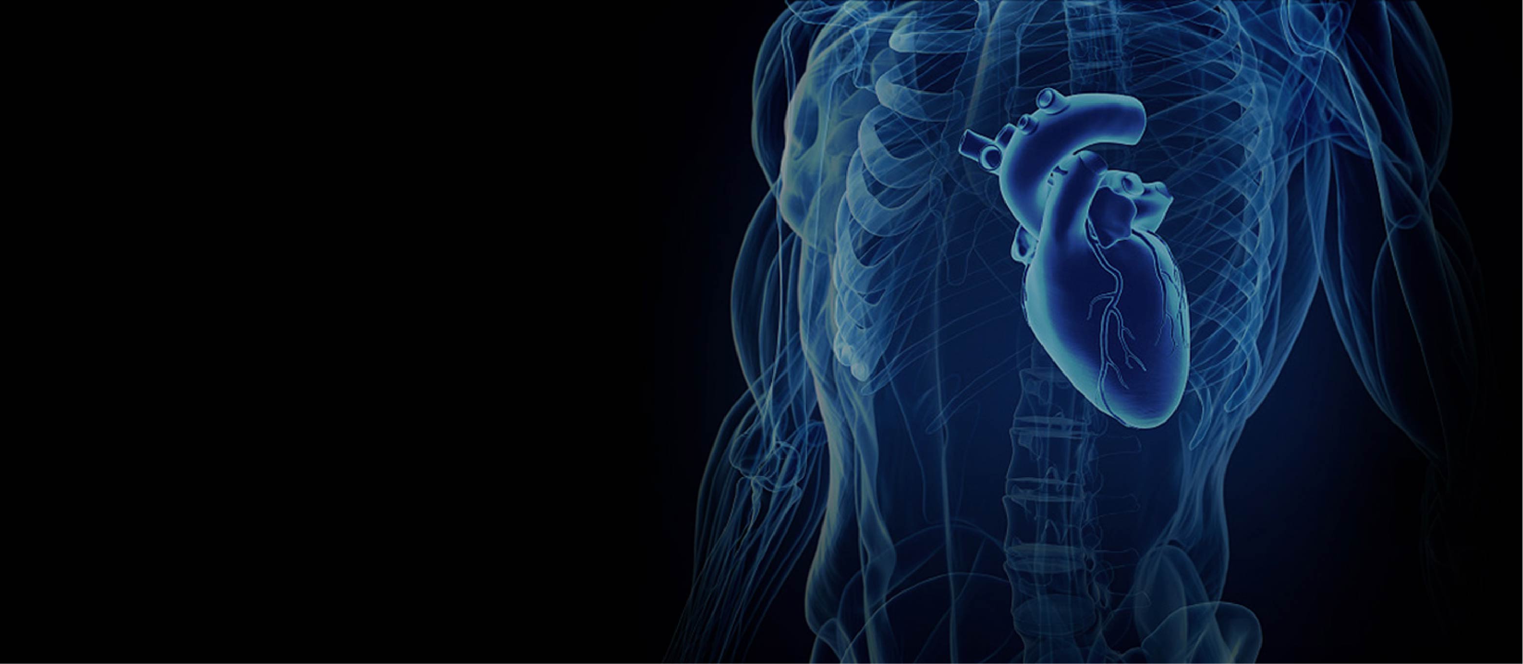 顶级游戏(中国区)官方网站-Officials Website