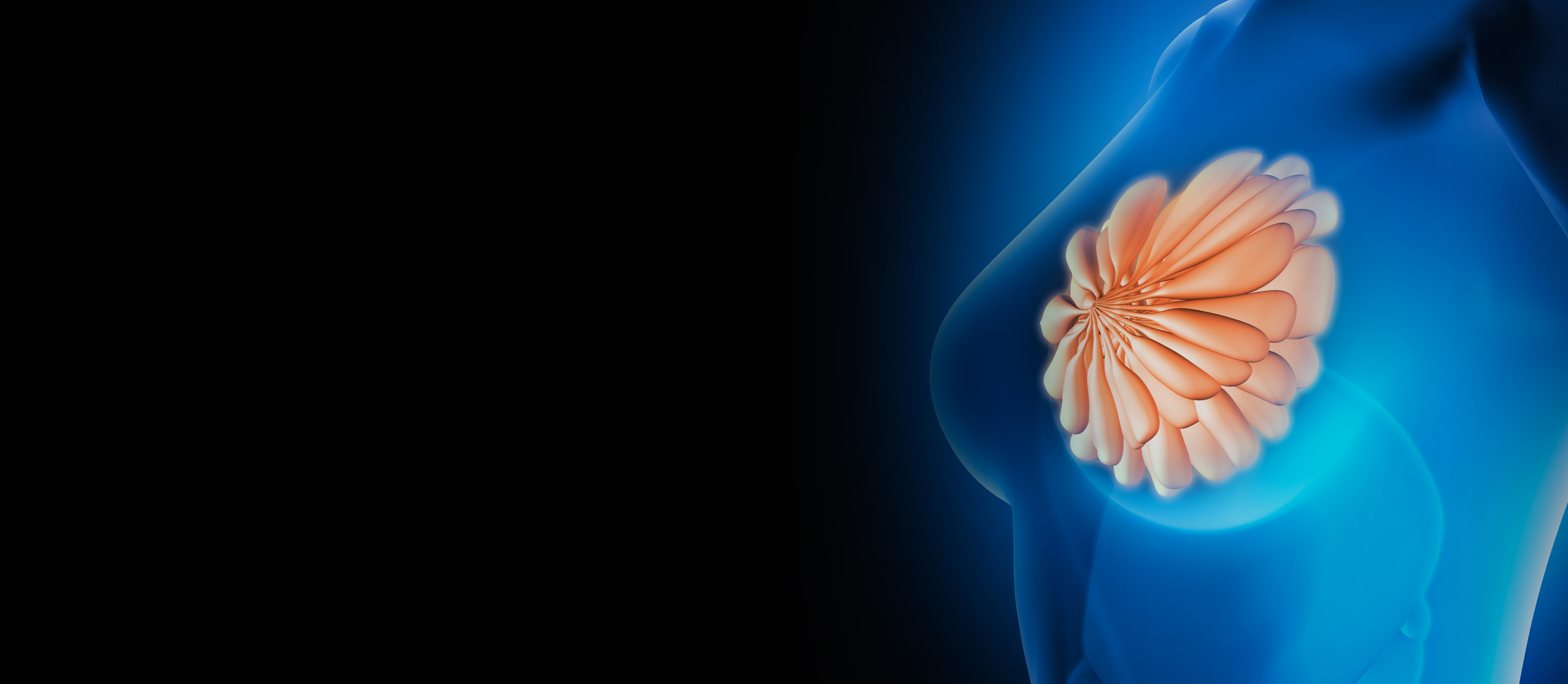 顶级游戏(中国区)官方网站-Officials Website